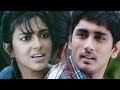 Siddharth Amala Paul Interesting Cute Love Scenes TFC Comedy