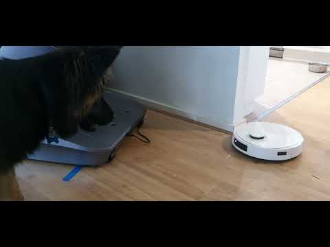 German Shepherd puppy angry at robot vacuum cleaner
