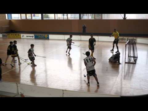 2014-03-29 1. FbK Jablonec n.N. - FBC Liberec white 6:2 (Lomnice)