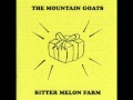 the mountain goats - pure intentions