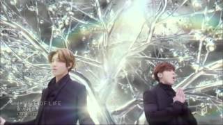 tvxq tree of life MV