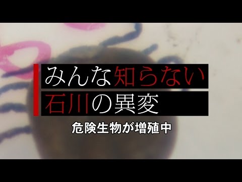 マダニによる新たな危険:一部の動物は致死性のウイルスを媒介する