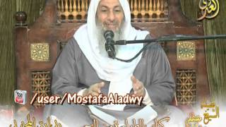 بداية المجتهد (60)  " تتمة هل ميتة الحيوان ذي الدم غير المائي نجس ؟ "  للشيخ مصطفى العدوي image