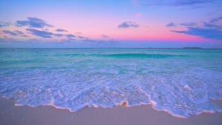 Maldives Hidden Island Retreat 🏝 Turquoise waters of the ocean 4K Ultra HD