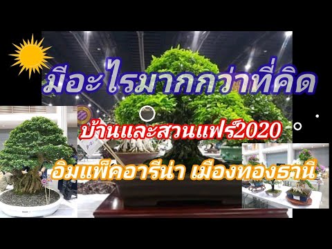 ภาพบรรยากาศในงานบ้านและสวนแฟร์ ณ อิมแพ็คอารีน่า เมืองทองธานี พบกับ บอนไซสวยๆงามๆbonsai thailand