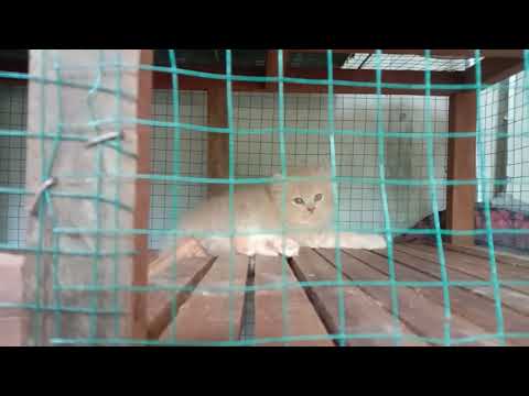 ❤️❤️❤️❤️❤️❤️❤️