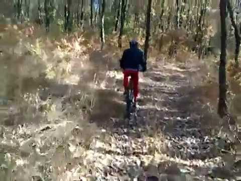 Plimbare prin padurile de linga Zapodeni Vaslui