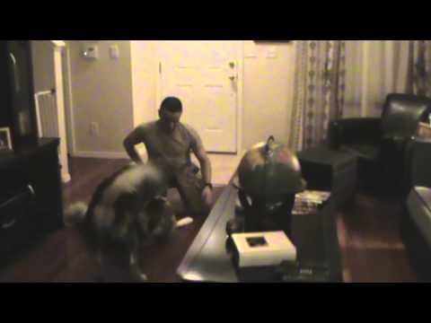 Huskies Welcome Home Daddy from Afghanistan