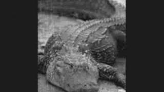 GUCCI MANE - ALLIGATORS