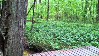 preview picture of video 'Dayhike Greensboro, NC's  West House Trail with Survivalist2008'