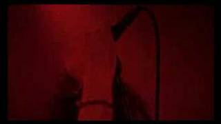 (The Music) Let Love Be The Healer-Live