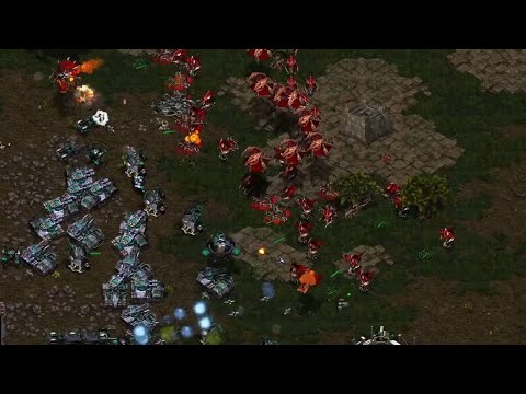 Zelot vs Taenggu Ladder Battle  - Starcraft Broodwar