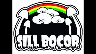 Download lagu Sill Bocor - Sang Mentari (Lyrics) mp3 Download lagu Sill Bocor - Sang Mentari (Lyrics) mp3