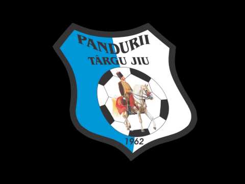 VIDEO   De la  Hei, Hei, Pandurii! , la imn specia