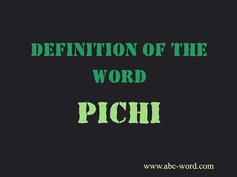 Definition of the word "Pichi"