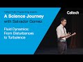 A Science Journey with Salvador Gomez - Fluid Dynamics: From Disturbances to Turbulence