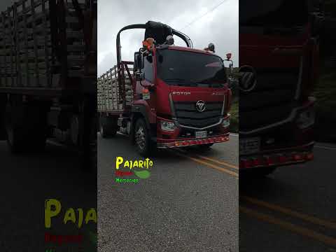 Sector del PR 48 / Vía Pajarito Boyacá - Sogamoso (Julio 25/2026)