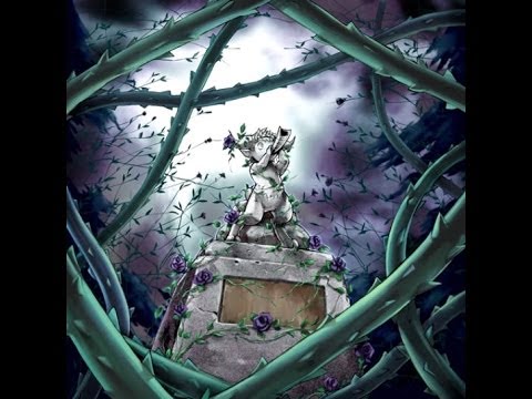 Competitive DN Duels : Black Garden Beat vs Prophecy - That 800 ATK Token Beatdown was legit