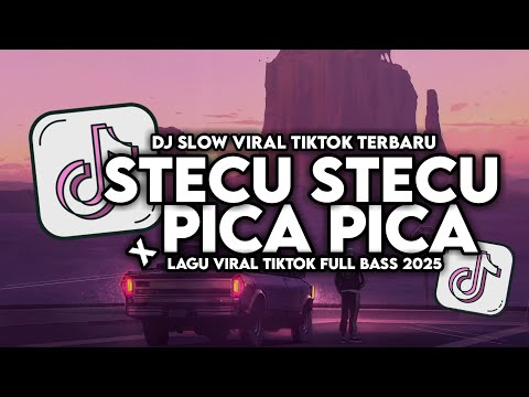 DJ STECU STECU X PICA PICA SLOW VIRAL TIKTOK FULL SONG MAMAN FVNDY 2025