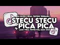 DJ STECU STECU X PICA PICA SLOW VIRAL TIKTOK FULL SONG MAMAN FVNDY 2025