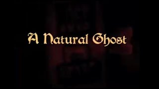 Ryan Adams - Natural Ghost (Bedroom Acoustic)