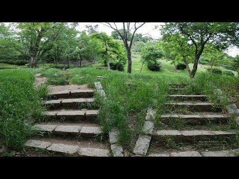 Parcul Cetatuia, Cluj Napoca