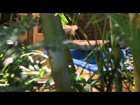 Welcome to the Kiva Spa