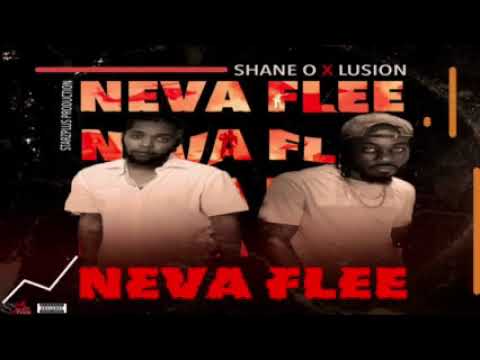 Shane O Ft Lusion - Neva Flee