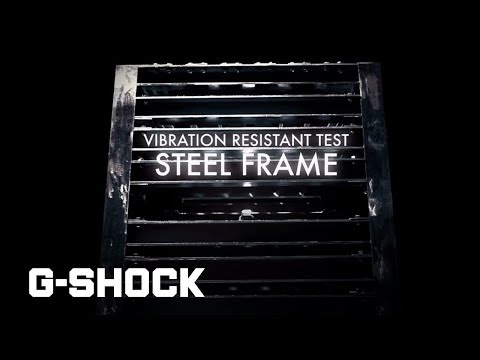 Vyriškas laikrodis Casio G-Shock DW-5600E-1V (zd234a) + BOX video