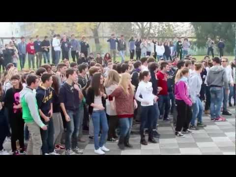 Gamgnam Style Flash Mob @ Liceo B. Varchi
