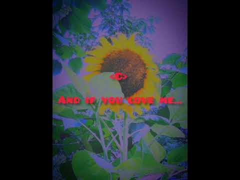 One Last Song - A1