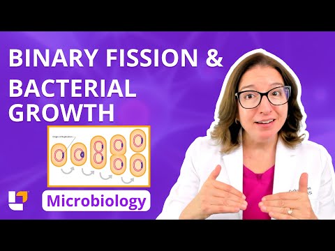 Binary Fission & Bacterial Growth: Microbio Pre-Nursing, Pre-Med & Health Field Careers | @LevelUpRN