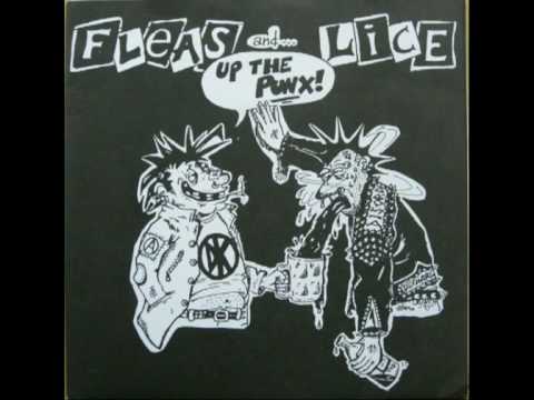 FLEAS & LICE - Up the Punx (Assrash split)