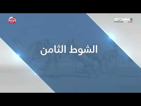 ملخص السباق ، تأهيلي المرموم 2026/10/08 حول وزمول