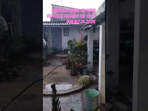 primeira chuva em Nova floresta Paraíba #chuva