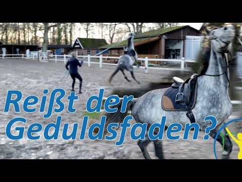 Reißt diesmal Arianes Geduldsfaden? Falco will's wissen!