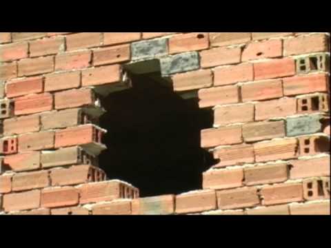 Tonqta feat. Chazzz & Bate Sasho-Digai (official video)