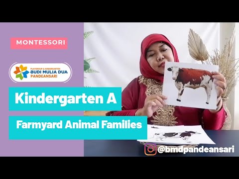 Montessori || Farmyard Animal Families || Kindergarten A