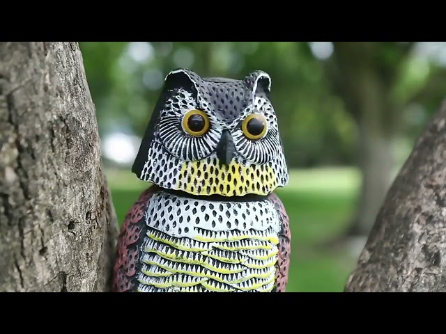 Vídeo relacionado con Biotop, Búho Espantapájaros, Gira la Cabeza con el Viento, No necesita Pilas, Marrón