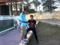 Parkour T Rex