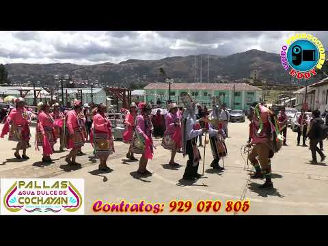 PALLAS AGUA DULCE DE COCHAYAN YANAS HCO, FIESTA PATRONAL SAN FRANCISCO DE ASIS YANAS HCO 2022