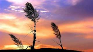 Chicane- Poppiholla (Villa Naranjos Remix)