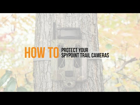 How to protect your SPYPOINT trail cameras