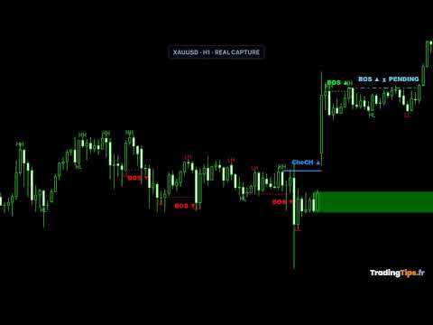Video SMC Trade Pilot MT5