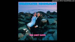 The Soft Boys - Vegetable Man (Bonus Track)