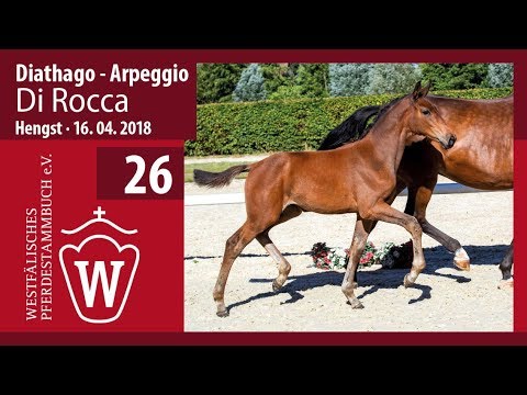 026  Di Rocca SF v. Diathago - Arpeggio