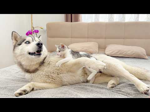 YouTube 썸네일