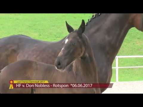 HF v. Don Nobless / Rotspon