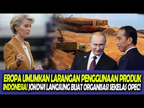 MANTAPP! INDONESIA AKAN BUAT ORGANISASI BARU MENGURUS NIKEL DUNIA BERSAMA RUSIA!