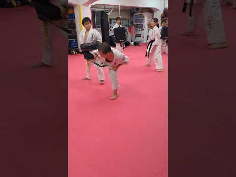 【最強】これが１番強い蹴り！ #karate